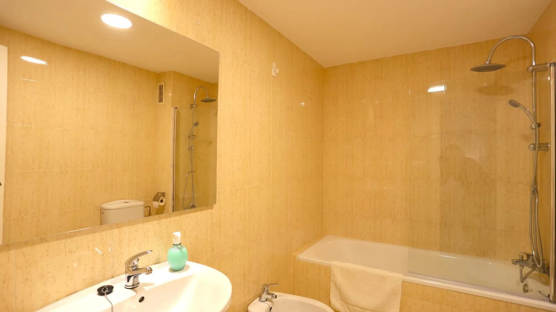 Alcazaba Malaga City Apartment